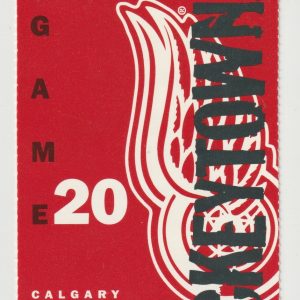 2001 Red Wings ticket stub vs Flames Nov 27 Brett Hull Luc Robitaille