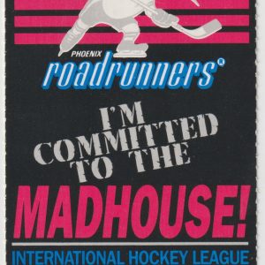 1993 IHL Phoenix Roadrunners ticket stub vs Atlanta Knights 2/13