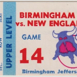 1976 WHA Birmingham Bulls ticket stub vs New England Whalers Nov 23
